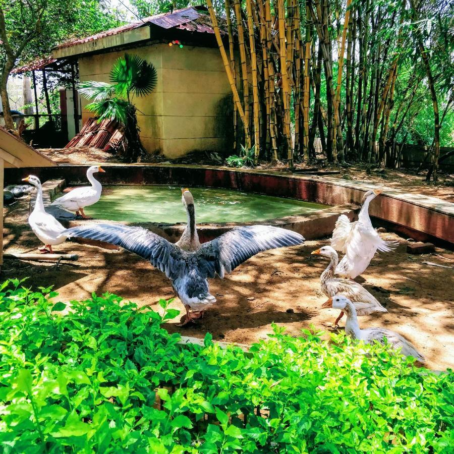Dew Drops Boutique Retreat Ξενοδοχείο Igatpuri Εξωτερικό φωτογραφία
